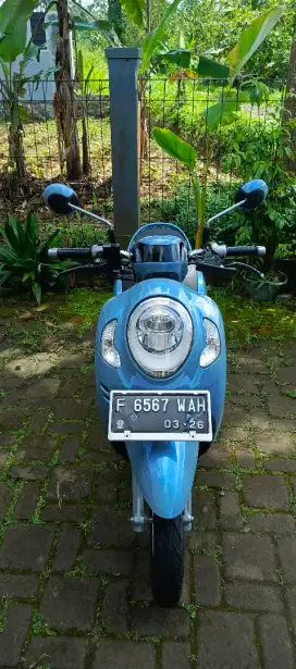 Scoopy prestige