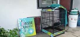 Kandang nomer 1+ krodong