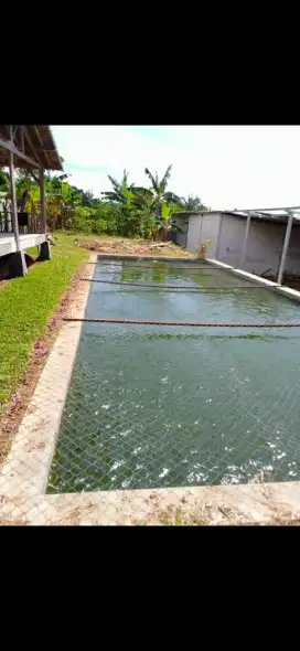 Tanah untuk villa sudah ada saung dan kolam ikan