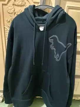 Hoddie coach dino