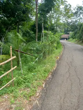 Jual Tanah 2000 meter pinggir jalan