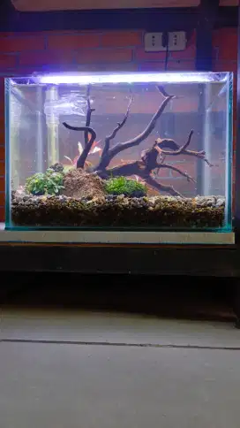 Aquarium 30x20x20 1sett model macan2