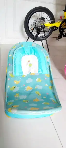 Deluxe Baby Bather