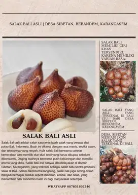 SALAK BALI ASLI | Desa Sibetan, Karangasem