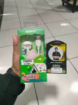 USB ROBOT RPM100 RABBIT MICRO ATLANTIS DAHSYAT