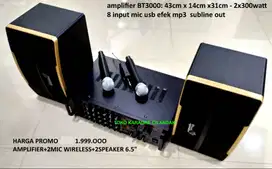 paket sound system karaoke 6,5in