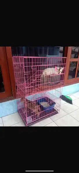 Kandang kucing tingkat