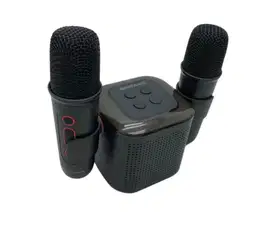 Speaker Mini 2 Mic