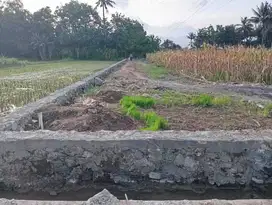 Tanah Cantik Dekat Fasilitas Publik Jogja, Siap Bangun!