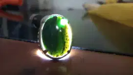 Bacan Coklat Doko Bajiko