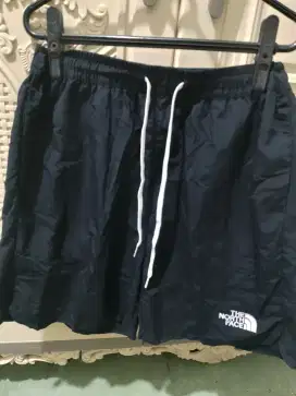 The north face shortpants