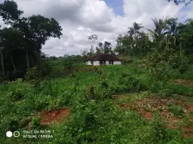 Rumah Kebun Durian di Desa Wisata