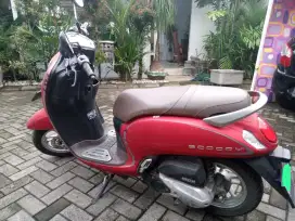 Dijual Cepat Motor Honda Scoopy Stylish