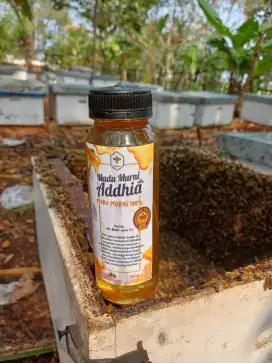 Madu murni addhia