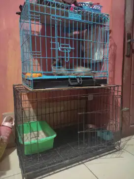 kandang kucing besi kokoh