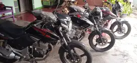 Honda Tiger 2008, 11, dan 13