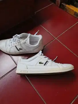 Sepatu sport / kets merk Crocodile