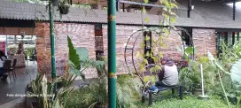 Krey tirai bambu wulung
