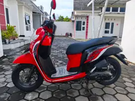 Scoopy 2020 Pajak Baru Mulus Trawat