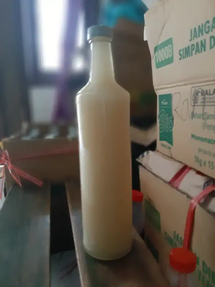 Royal Jelly MADU PUTIH