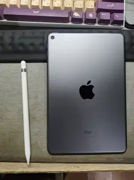 Ipad mini 5 64gb wifi only plus Apple pencil