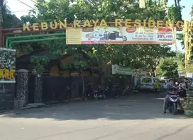 Dijual Tanah Kavling harga miring di Jalan Utama KRR