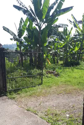 Dijual Tanah lokasi sangat strategis samping jalan Raya Puncak Bogor