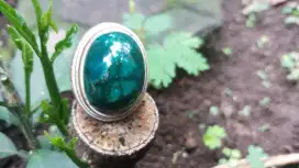 Bacan Doko Majiko