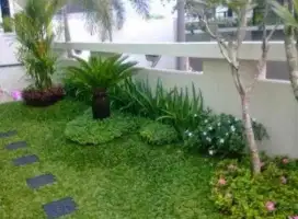 Pembuatan taman minimalis murah