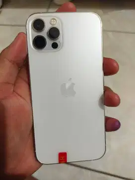 Jual Cepat iPhone 11 Pro 512GB? Kami Jemput Tanpa Ribet!