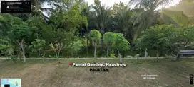 Dijual Tanah Lahan Di Pantai Genting Ngadirojo Kabupaten Pacitan(173)