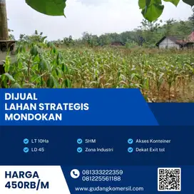 Dijual Lahan Zona Industri,Lokasi Mondokan,Sragen,Luas 10 Ha,Bu!