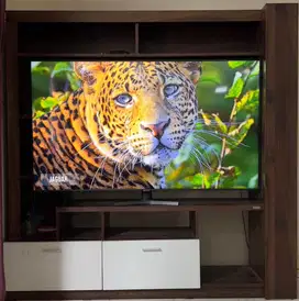 Lemari TV & Rak Buku