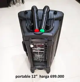 portable 12in mic 2 promo