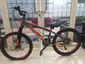 Sepeda gunung MTB Trendy pro team