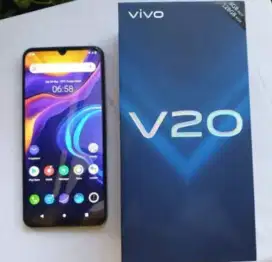 Vivo v20 NFC full set mulus