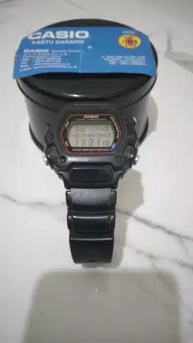 Jam Tangan Casio G Shock  DW 290 IVS