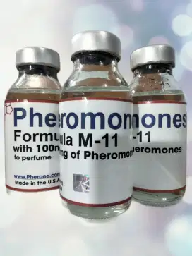 Parfum biang pheromones original import