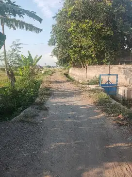 Dijual Tanah Sawah Cocok Untuk Kavling dan Perumahan