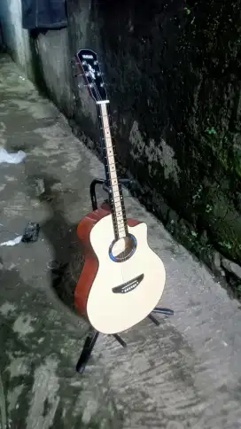 Gitar Apx Akustik & Elektrik Fullset