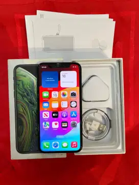 IPhone XS 256GB nominus fullset