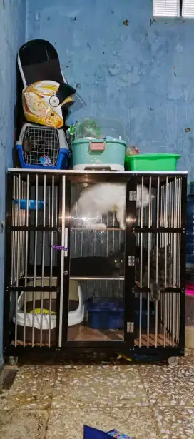 Kandang kucing almunium