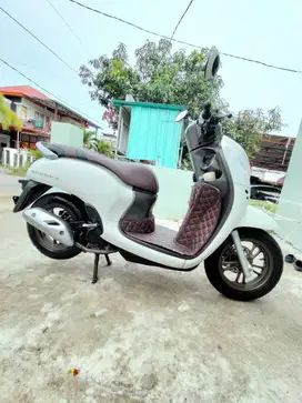 Scoopy prestige 2022