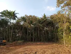 Beli Tanah di Barat Jogja, Siap Bangun Hunian Idaman Anda