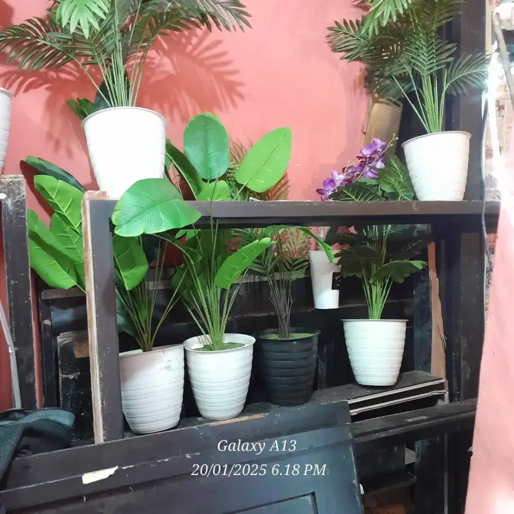 Kami jual kebutuhan tanaman hias