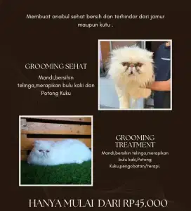 Grooming  medan