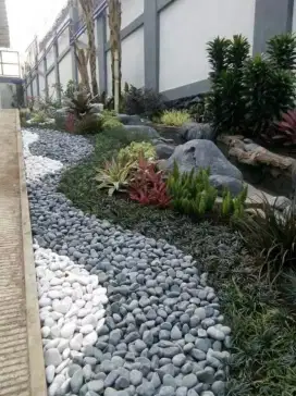 Jasa tukang taman