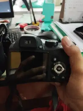 Fujifilm pinepix S4200