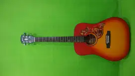 new gitar akustik pemula