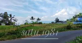 Dijual sebidang tanah luas pinggir jalan di kota strategis